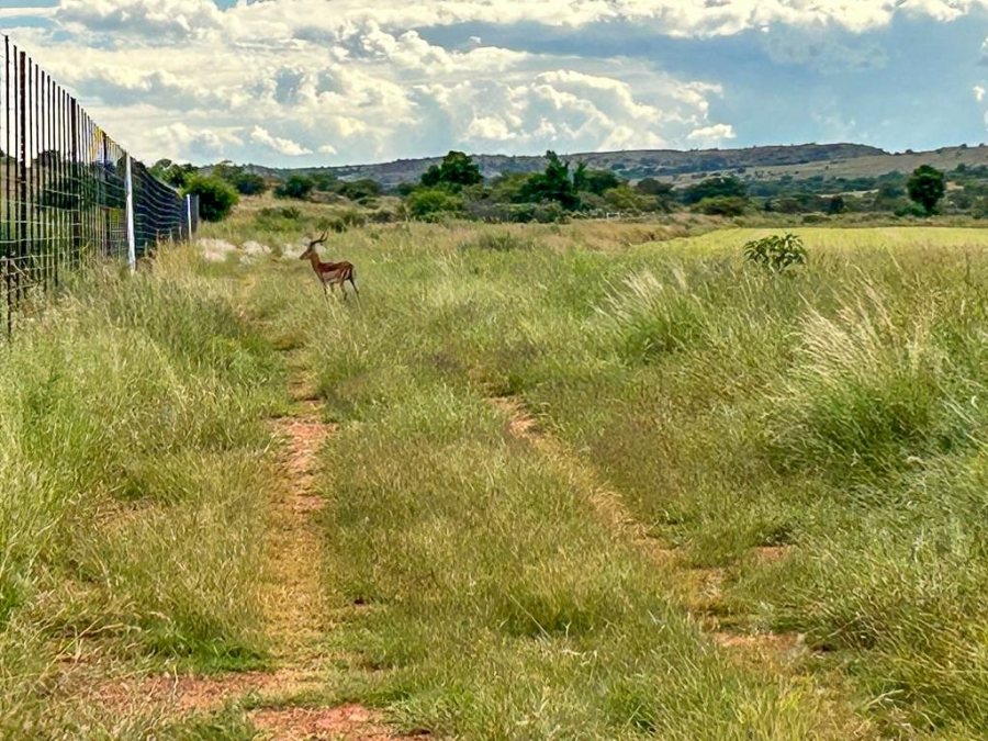 3 Bedroom Property for Sale in Potchefstroom Rural North West